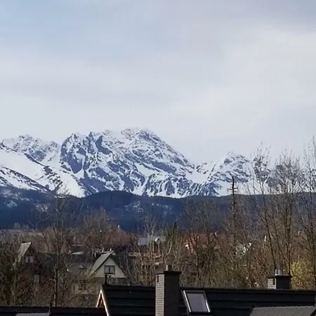 Villa Teddy Zakopane Murzasichle-Tatras Mountains Entire House To Yourself In A Quiet Neighborhood Exterior photo
