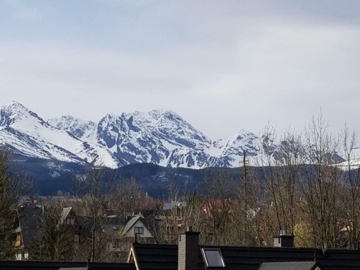 Teddy Zakopane Murzasichle-tatras Mountains Entire House To Yourself In A Quiet Neighborhood Murzasichle